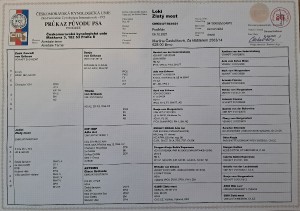 pp1.jpg